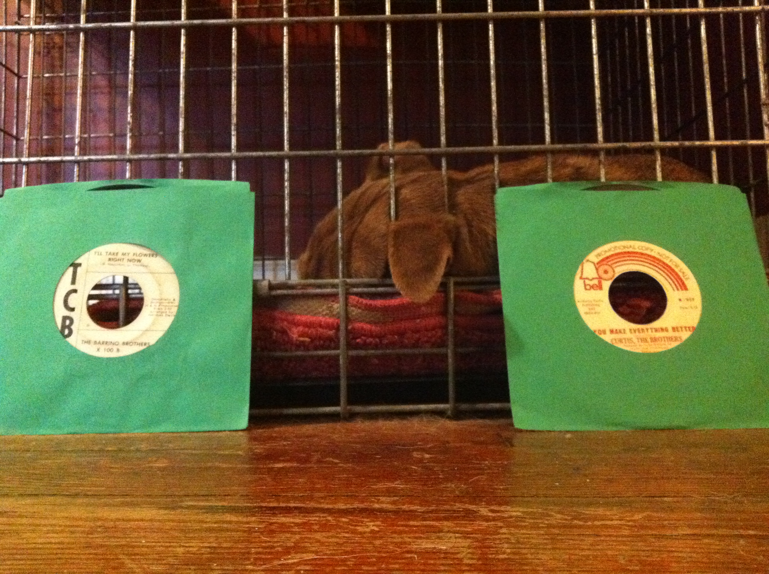 Cover art for Live @ Bumpshop NYC - Aaron Anderson and Brad Hales